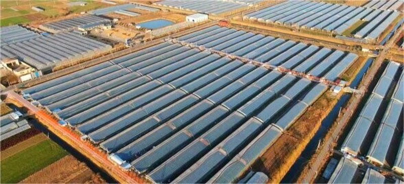 智能温室配件：开启农业自动化新时代