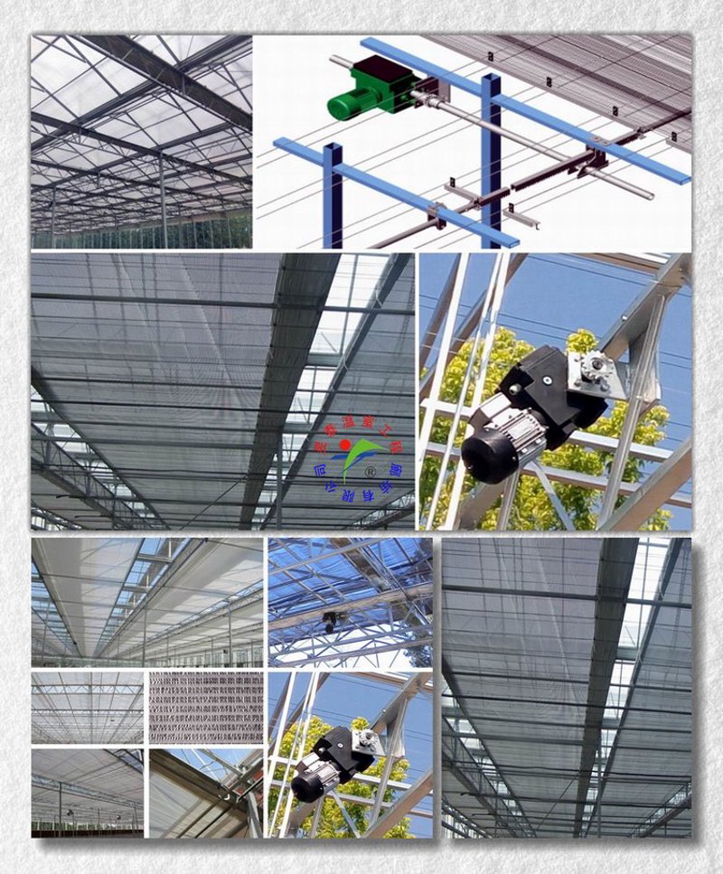 温室大棚骨架：打造理想种植环境的关键步骤
