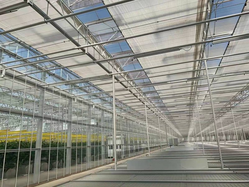 温室大棚骨架：打造现代农业的坚固堡垒