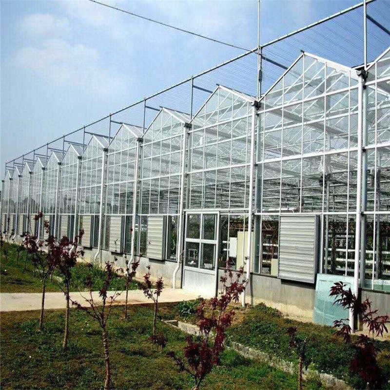 阳光板温室：构建绿色梦想的透明穹顶