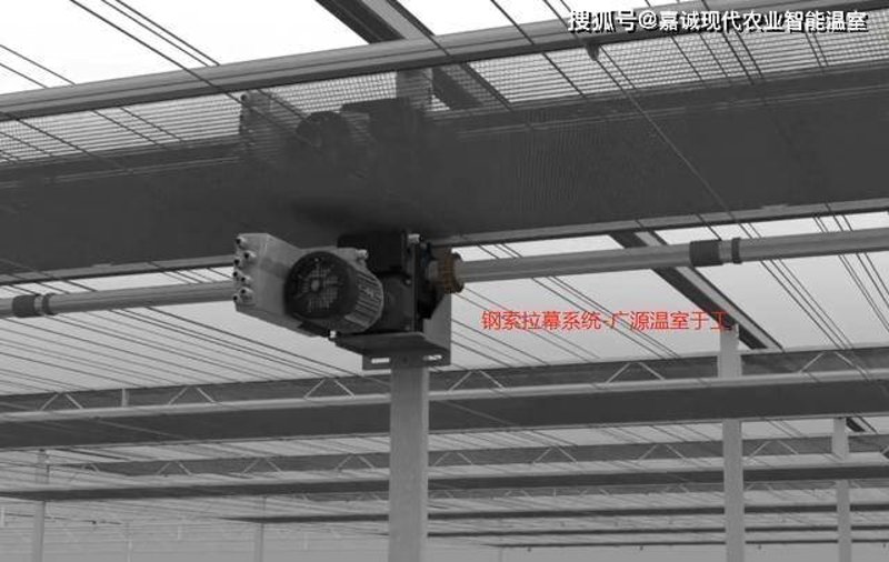 阳光板温室:打造植物生长的绿色天堂